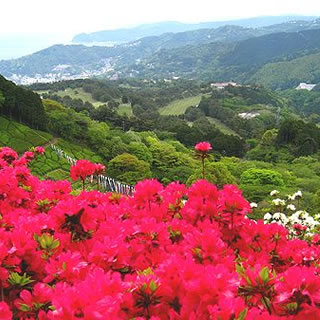姫の沢公園