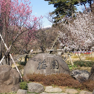 熱海梅園